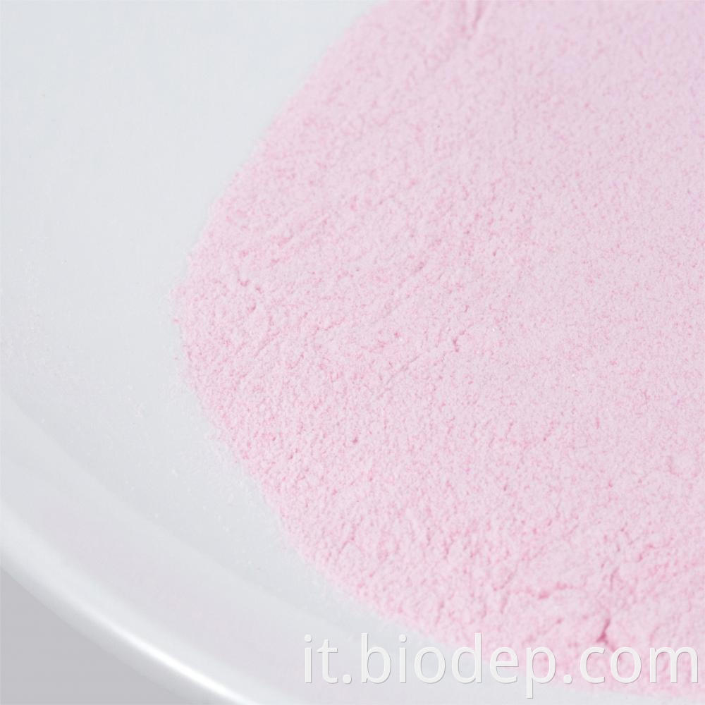 Lactobacillus Bulgaricus